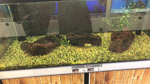 Pet Supply Store «Petco Animal Supplies», reviews and photos, 1680 Campbell Ln, Bowling Green, KY 42104, USA