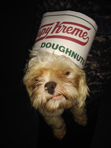 Bakery «Krispy Kreme Doughnuts», reviews and photos, 1420 E Expy 83, McAllen, TX 78501, USA