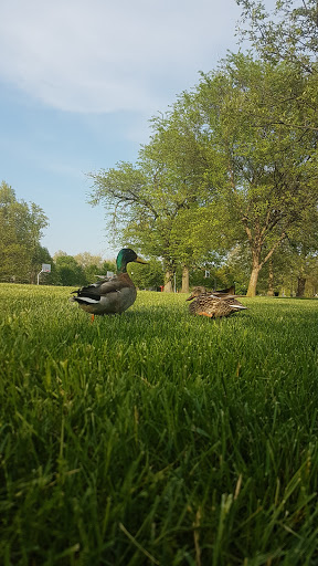 Social Services Organization «Ronald McDonald House Charities of Central Ohio», reviews and photos