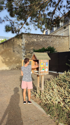 Boîte à Livres du Moulin à Vendôme