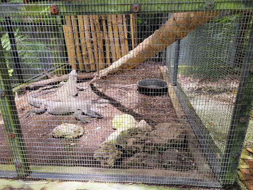 Zoo «Sarasota Jungle Gardens», reviews and photos, 3701 Bay Shore Rd, Sarasota, FL 34234, USA