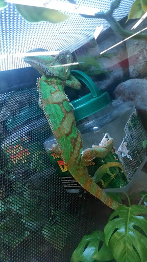 Pet Supply Store «Petco Animal Supplies», reviews and photos, 308 E Meighan Blvd, Gadsden, AL 35903, USA