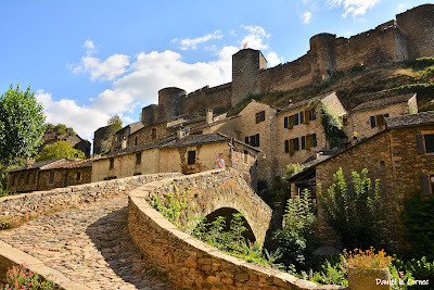 Pont du XIV ème siècle à Brousse-le-Château