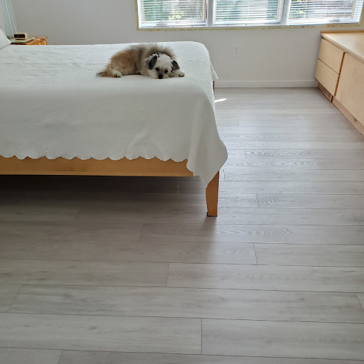 Carpet Installer «Excelsior Paint & Design Carpet One Floor & Home», reviews and photos, 701 MN-7, Excelsior, MN 55331, USA