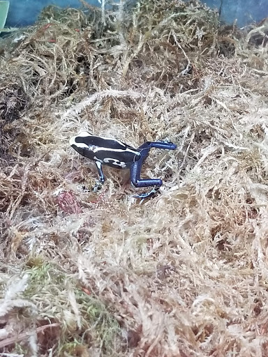 Pet Supply Store «Petco Animal Supplies», reviews and photos, 1150 S Main St, Englewood, OH 45322, USA