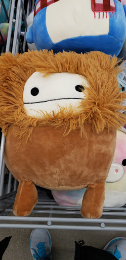 Variety Store «Five Below», reviews and photos, 8250 Kingsridge Road, Dayton, OH 45459, USA