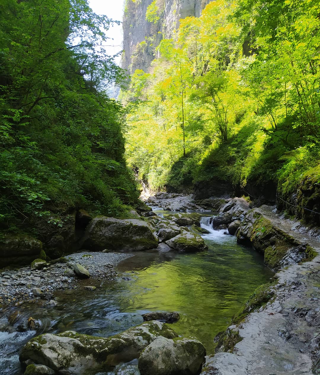Photo n° 9 de l'avis de Simply.l fait le 28/06/2020 à 19:42