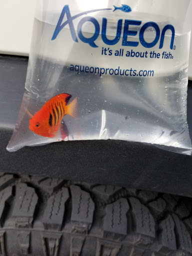 Pet Supply Store «Fish Guy & Pet Supply», reviews and photos, 5623 Manitou Rd, Excelsior, MN 55331, USA