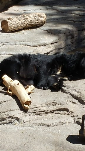 Golf Course «City Park Golf Course», reviews and photos, 2500 York St, Denver, CO 80205, USA