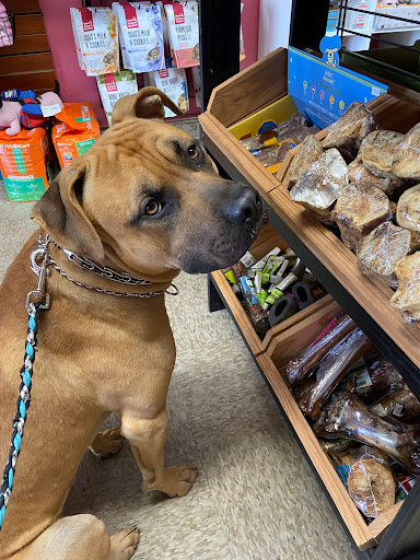 Pet Supply Store «Haute Dogs Boutique & Barkery», reviews and photos, 507 Georgia St, Vallejo, CA 94590, USA