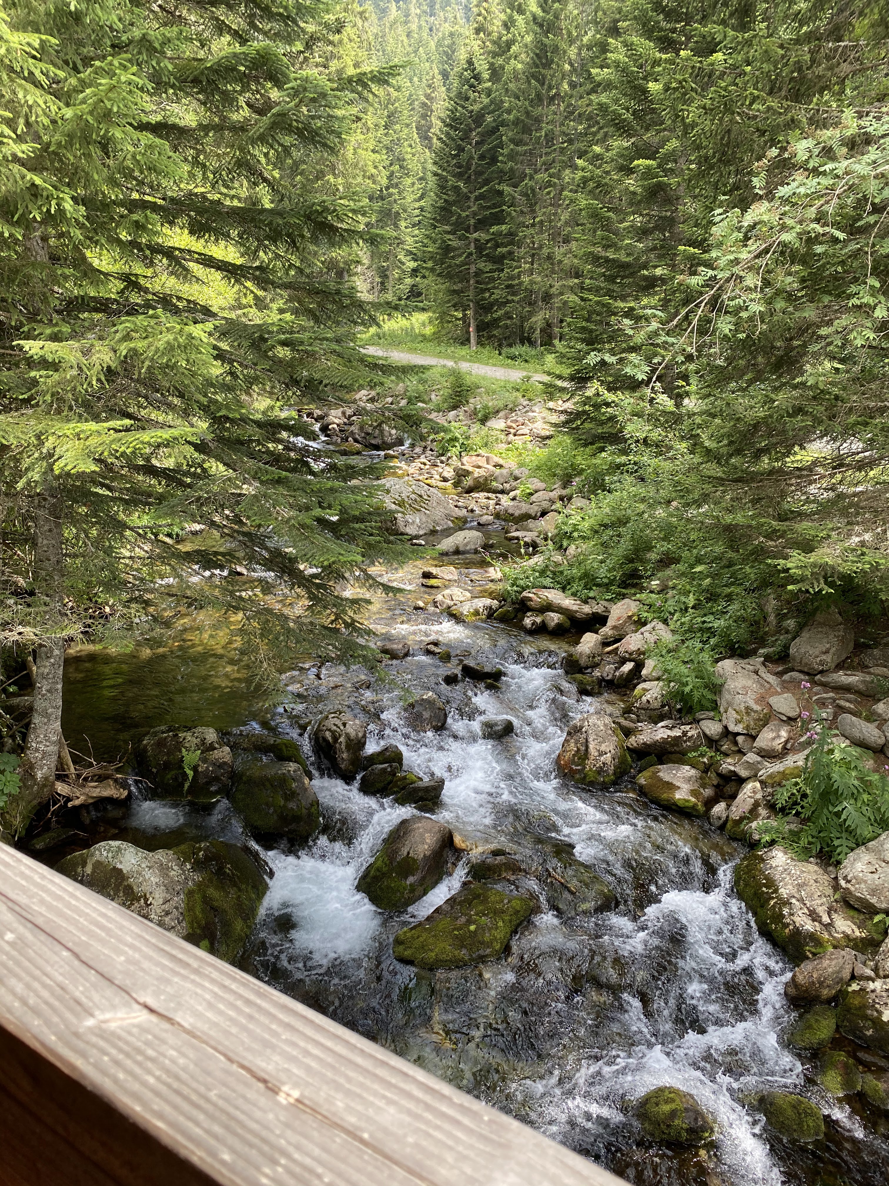 Photo n° 5 de l'avis de Elyor. fait le 22/07/2020 à 18:58