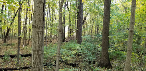 Nature Preserve «Blackwell Forest Preserve», reviews and photos, Butterfield Rd, Warrenville, IL 60555, USA