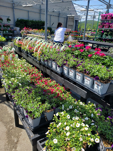 Discount Store «Walmart», reviews and photos, 285 N Plainfield Rd, West Lebanon, NH 03784, USA