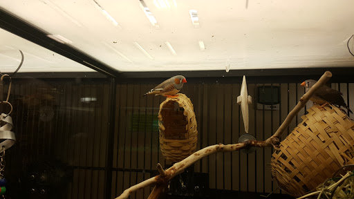 Pet Supply Store «PetSmart», reviews and photos, 585 Main St, Brookfield, WI 53005, USA