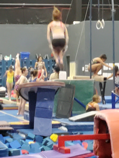 Capital City Flips Gymnastics