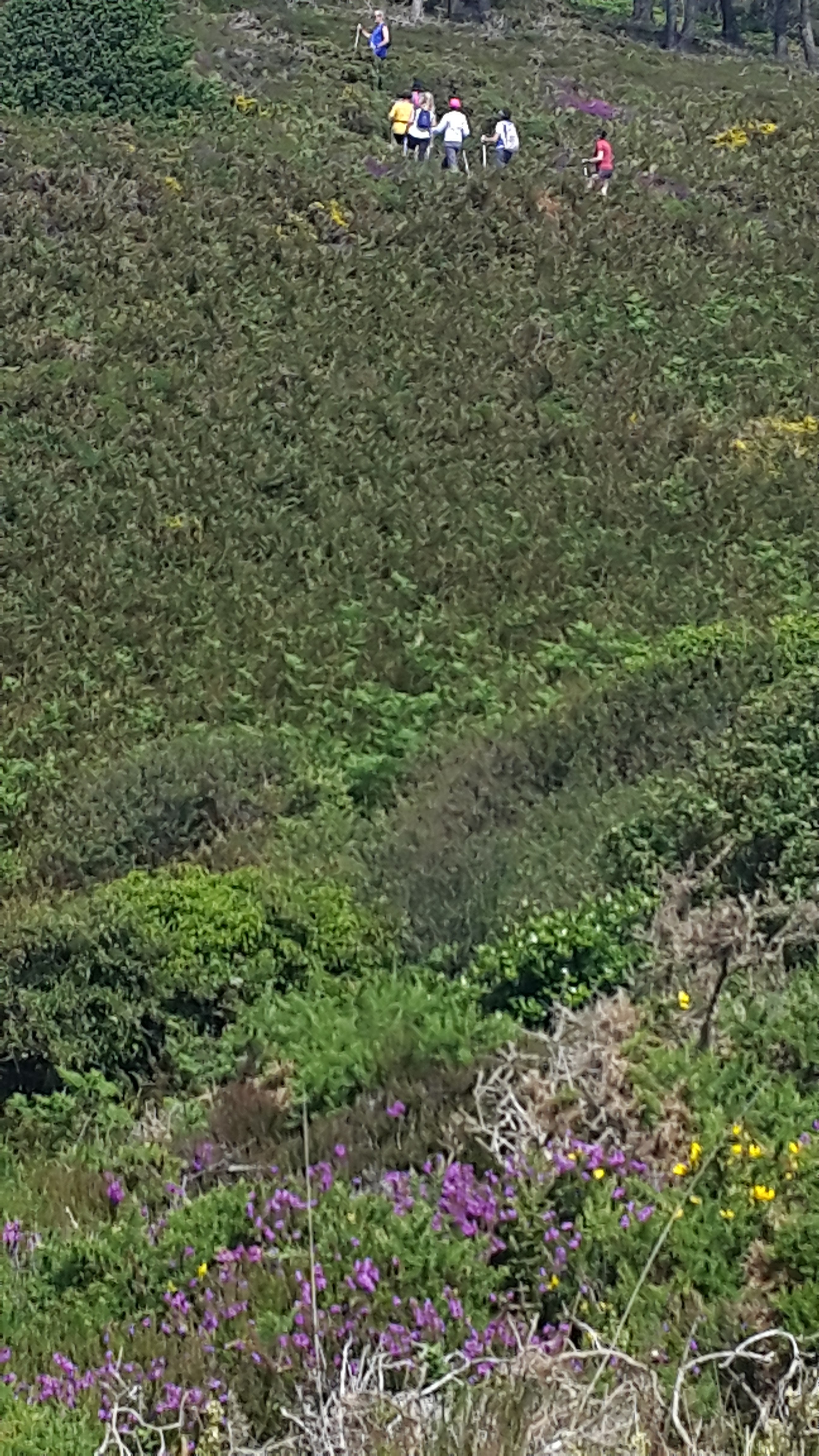 Photo n° 2 de l'avis de Elleag.o fait le 03/07/2019 à 17:09