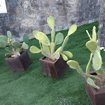 Photo n°6 de l'avis de Soffitta.r fait le 05/09/2020 à 20:58 sur le  Baba Beach à Alassio