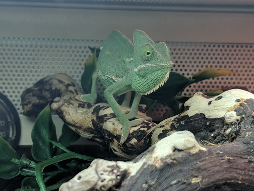 Pet Supply Store «PetSmart», reviews and photos, 8500 N Evanston Ave, Kansas City, MO 64157, USA