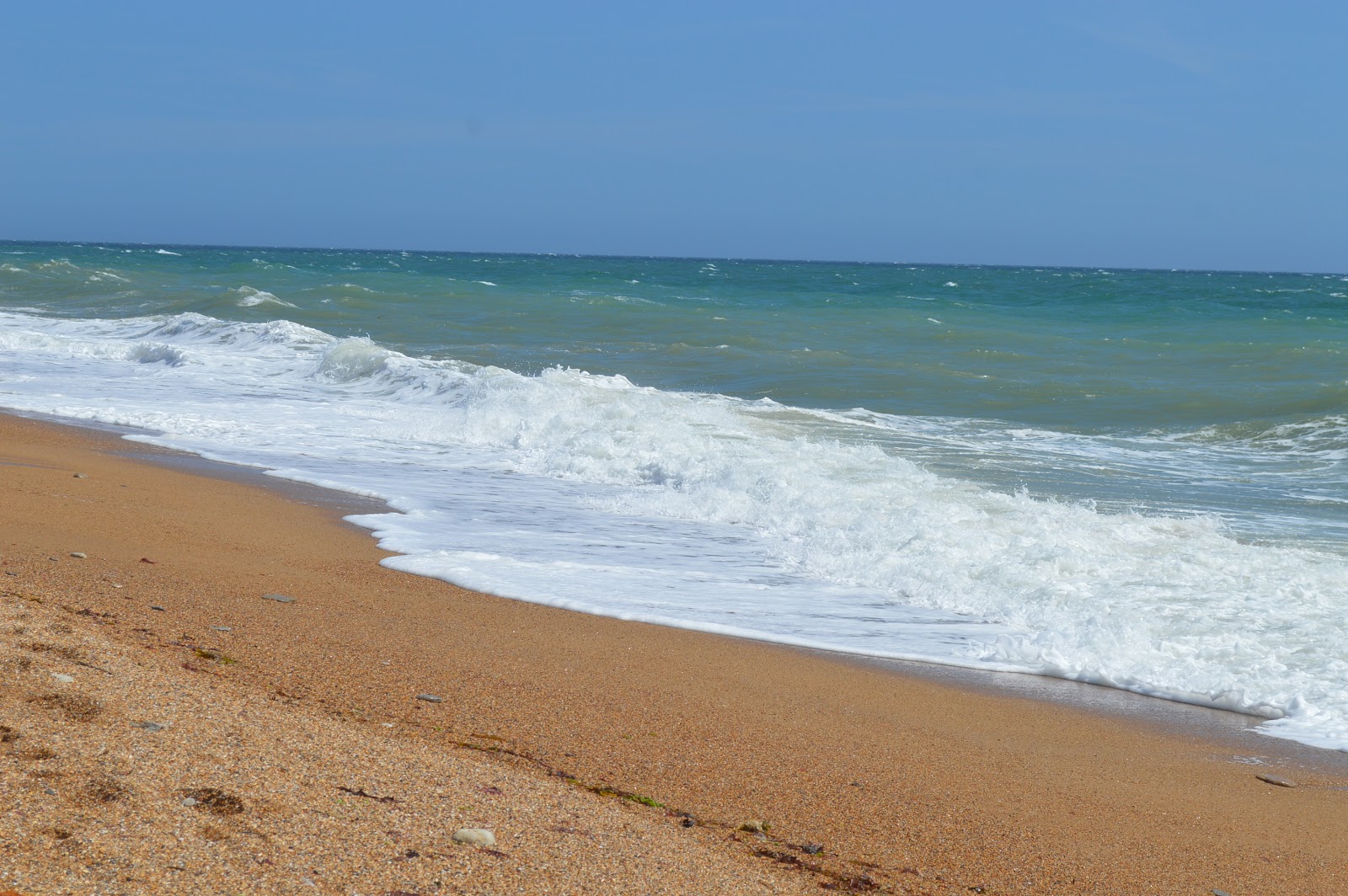 Fotografija Cogden plaža z dolga ravna obala