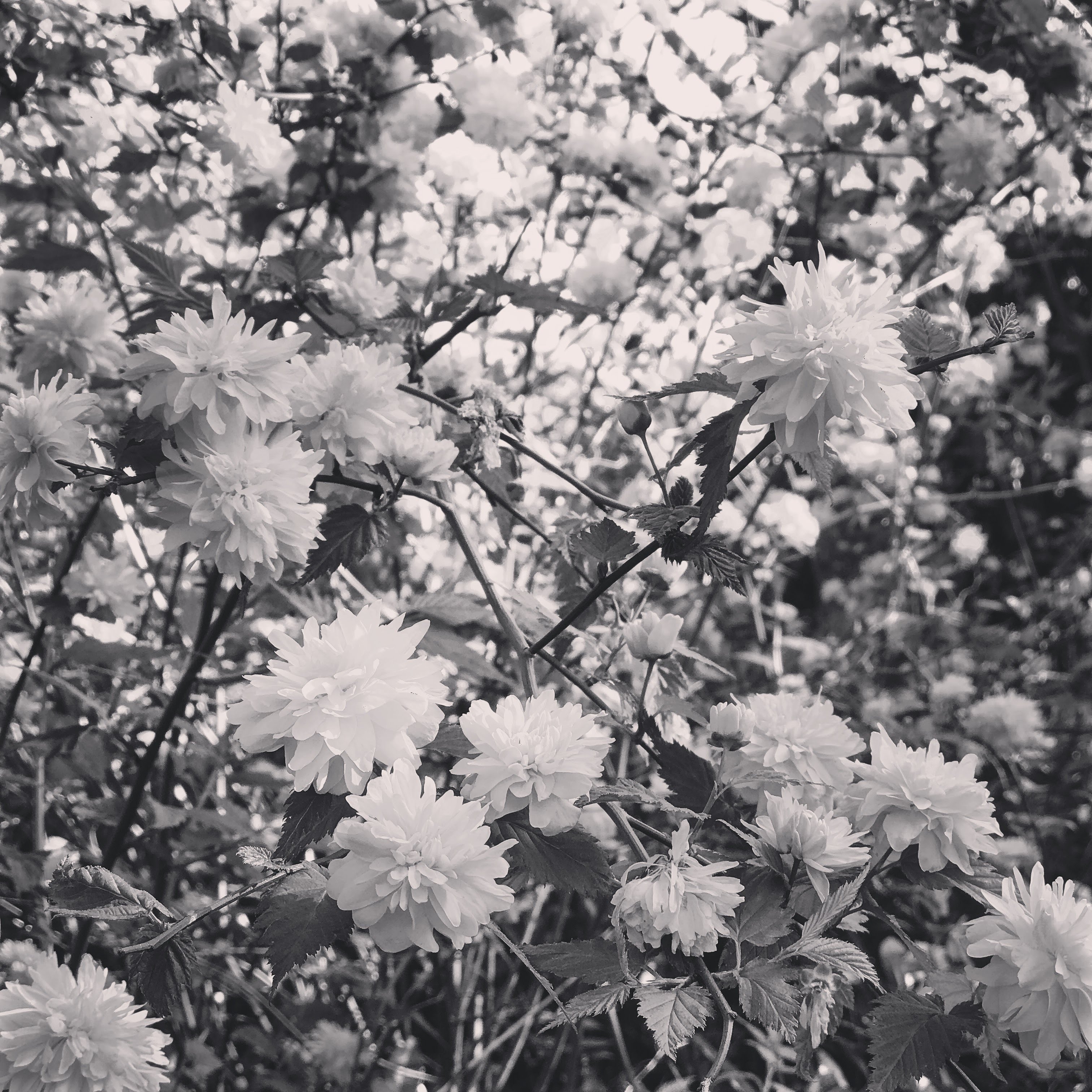 Photo n° 5 de l'avis de Franck.a fait le 02/05/2018 à 05:52