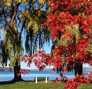 Stewart Park - photo 39