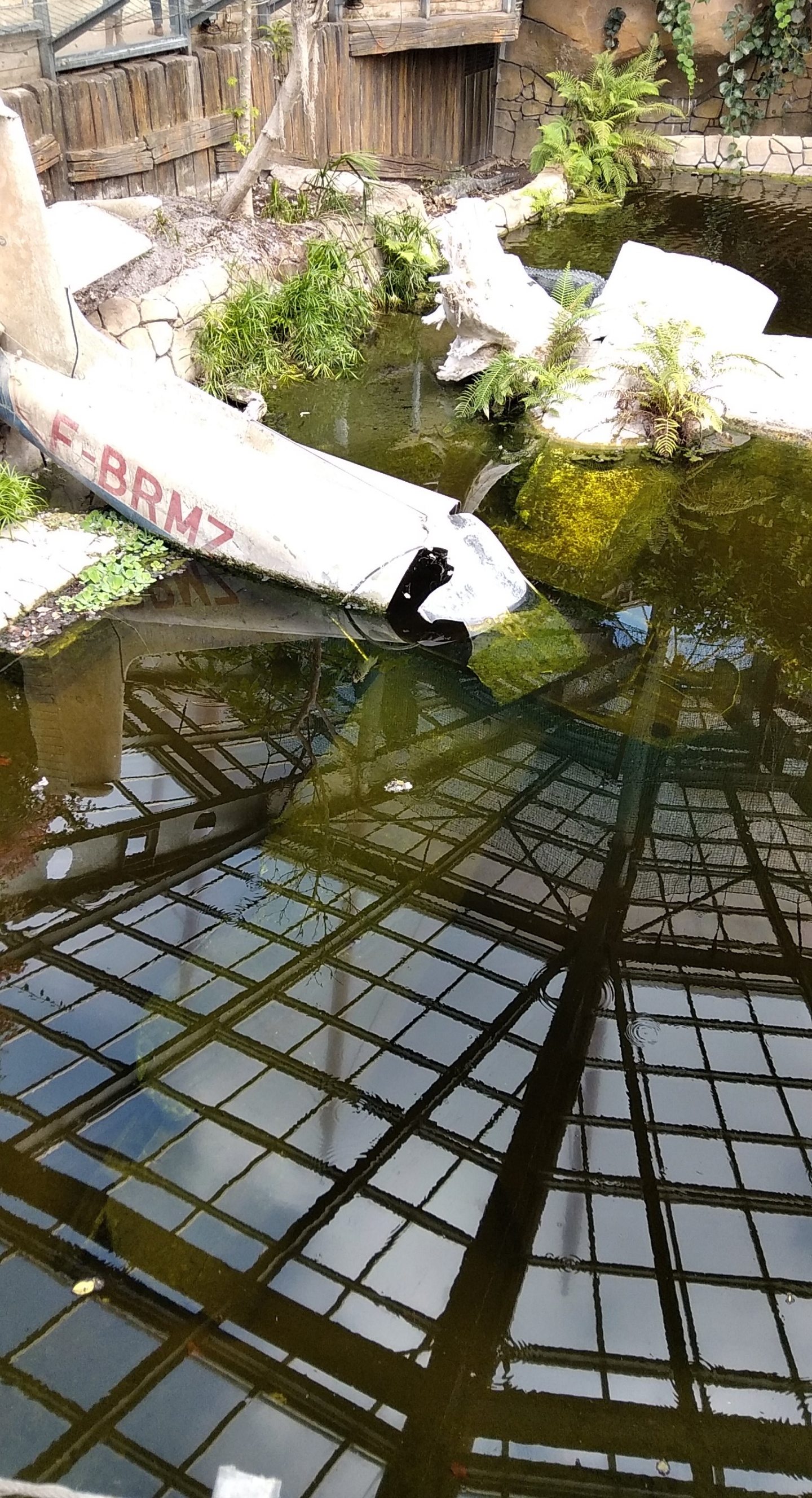 Photo n° 4 de l'avis de Flo5971.B fait le 31/07/2020 à 14:26
