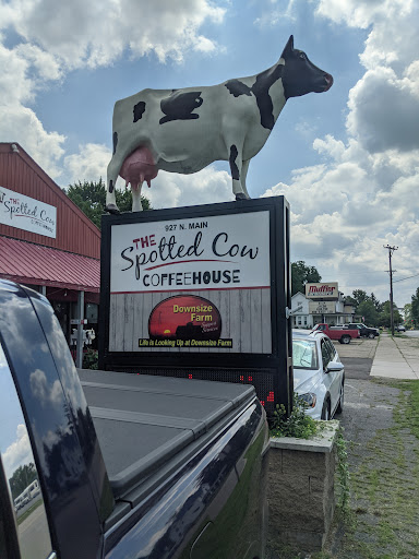 Coffee Shop «Spotted Cow Coffeehouse», reviews and photos, 927 N Main St, Urbana, OH 43078, USA
