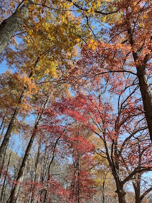 White Park - photo 17