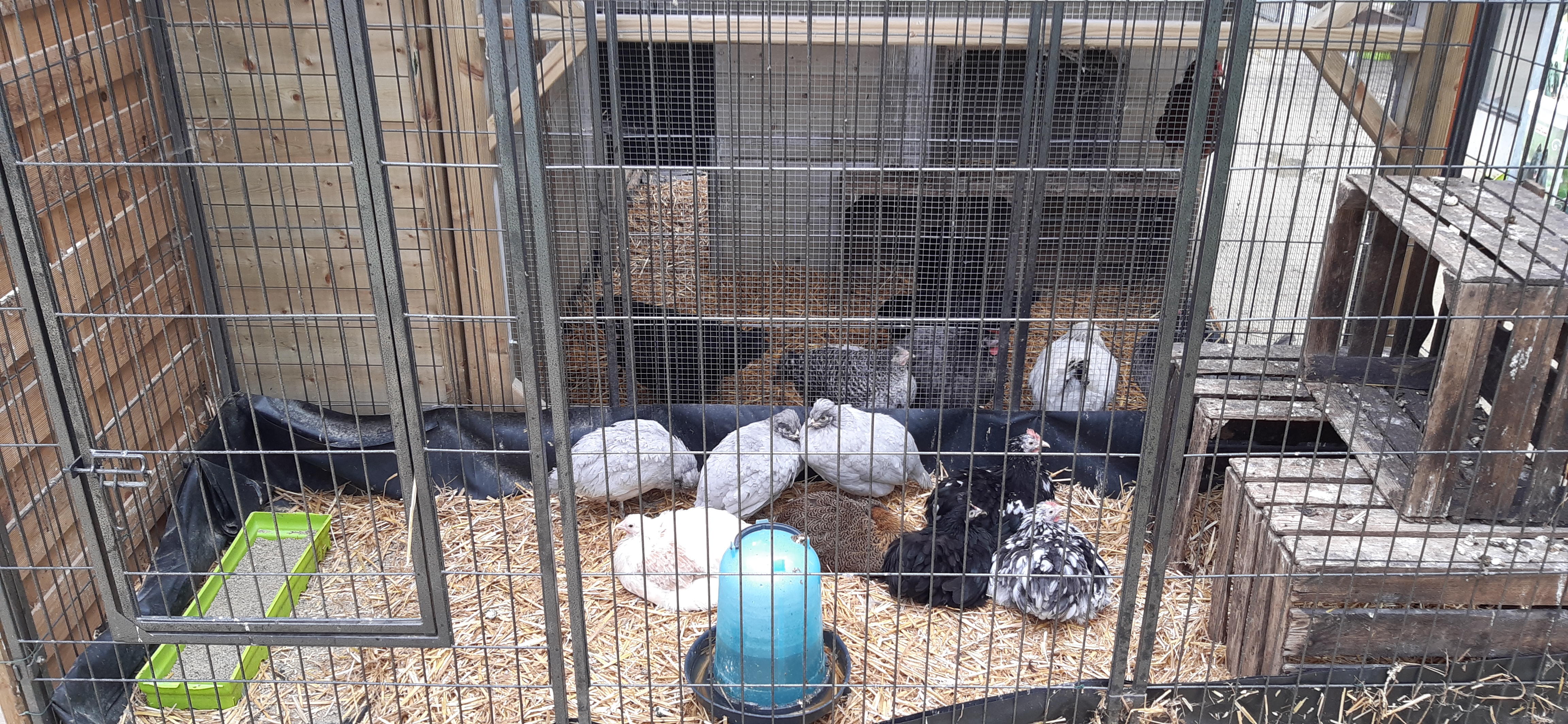 Photo n° 1 de l'avis de bricoliver.a fait le 03/10/2019 à 10:39