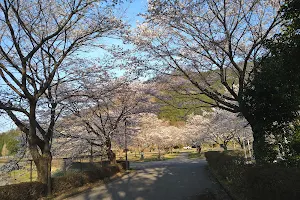 Kanuma Shiritsu Awano Sogoundo Park image