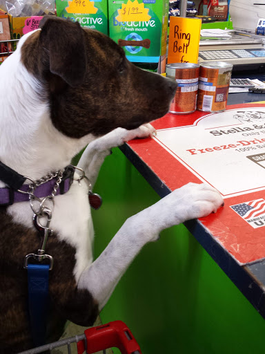 Bone Appetite Pet Supplies