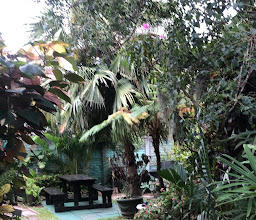 Jessica's Self Catering photo