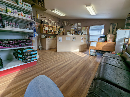 Bunchgrass Veterinary image