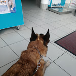 Photo n° 1 de l'avis de Typh.G fait le 09/07/2019 à 08:23 pour Vétérinaires Debrade Roumegous à Bellenaves