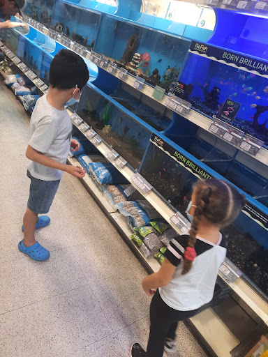 Pet Supply Store «PetSmart», reviews and photos, 1700 Norman Dr #200, Valdosta, GA 31601, USA