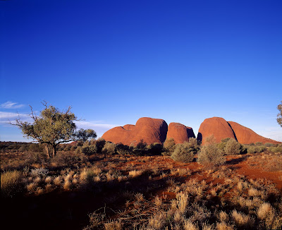 Australie Tours à Paris
