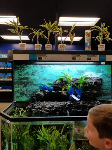 Pet Supply Store «Petco Animal Supplies», reviews and photos, 855 E Bidwell St, Folsom, CA 95630, USA