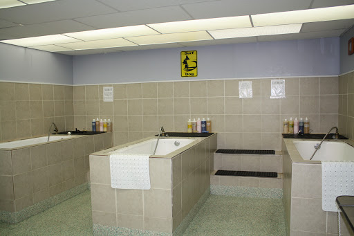 Pet Supply Store «Pet Source», reviews and photos, 1927 Spartanburg Hwy, Hendersonville, NC 28792, USA