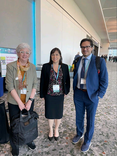 Immigration Attorney «Chavez & Valko LLP», reviews and photos