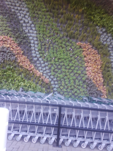 Clothing Store «Ross Dress for Less», reviews and photos, 194 Donahue St, Sausalito, CA 94965, USA