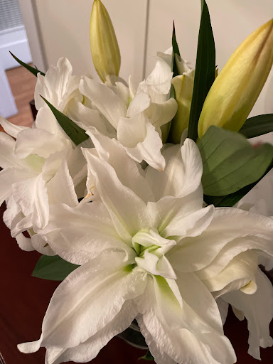 Real Estate Agency «Hank Cosby Real Estate», reviews and photos, 3812 Old Buckingham Road, Powhatan, VA 23139, USA