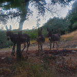 Photo n°1 de l'avis de Rob.a fait le 13/09/2022 à 19:56 sur le  Locanda Dell'Angelo à Assisi