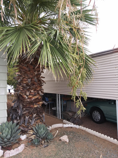 RV Park «Whispering Palms», reviews and photos, 19225 N Cave Creek Rd, Phoenix, AZ 85024, USA