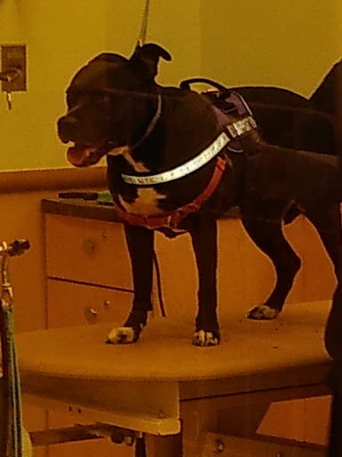 Pet Supply Store «PetSmart», reviews and photos, 3425 Amelia Dr, Orchard Park, NY 14127, USA