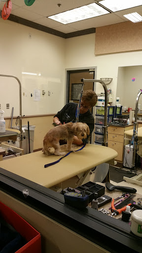 Pet Supply Store «PetSmart», reviews and photos, 1275 N Military Hwy, Norfolk, VA 23502, USA