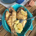 Photo n°1 de l'avis de Nathalia.u fait le 08/10/2023 à 17:03 sur le  Praia do Rei Restaurant à Costa da Caparica