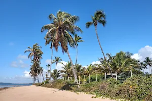 Praia do Forte -Bahia image
