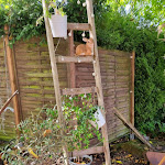 Photo n°1 de l'avis de Petra.i fait le 07/09/2022 à 04:25 sur le  Cafe Maria à Schiffweiler