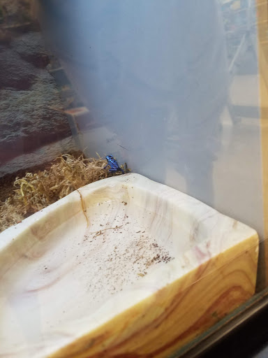 Pet Supply Store «Petco Animal Supplies», reviews and photos, 17200 Southcenter Pkwy #100, Tukwila, WA 98188, USA