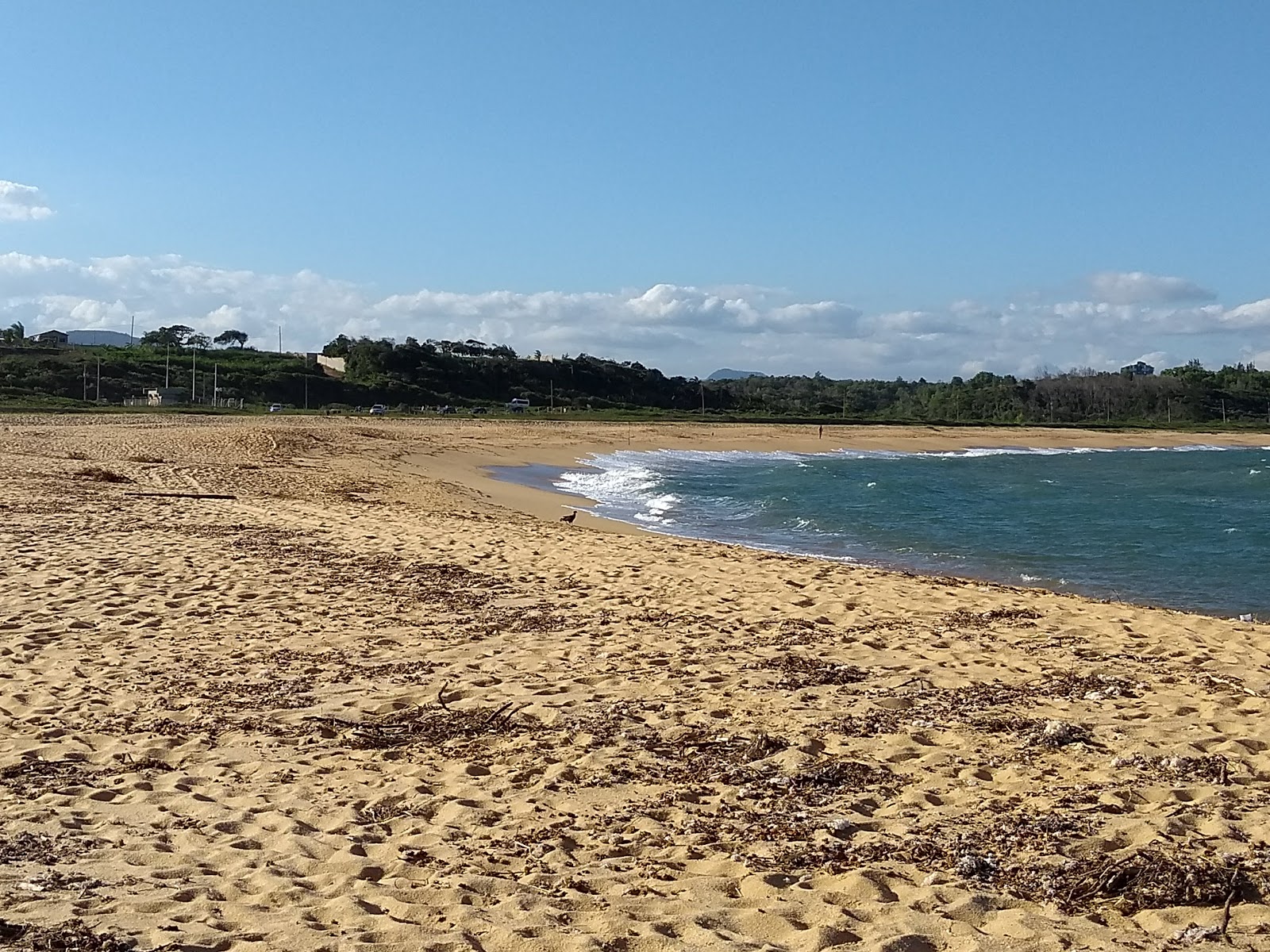 Photo de Plage d'Alem - bon endroit convivial pour les animaux de compagnie pour les vacances